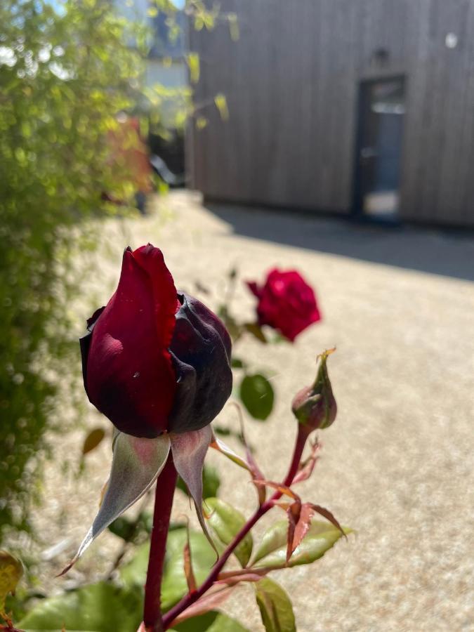 Accommodatie bij particulieren Chez Minh Thu Perros-Guirec